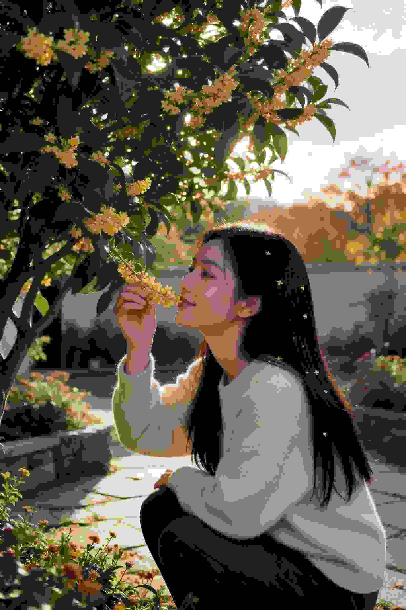 美食物语